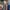All of Us large square All of Us - photo of Francesca Martinez in an urban setting, with two cast members, out of focus, behind her