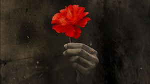 hadestown-show-artwork-1280x720 Hadestown - a single red flower held in a hand against a dark background