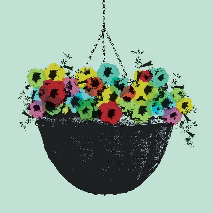 London-Road-2025-National-Theatre-2000x1000 A hanging black basket filled with vibrant multicolored flowers including shades of yellow, red, blue, and green against a pale green background. The flowers are densely packed, and the basket is suspended by chains.