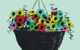 London-Road-2025-National-Theatre-2000x2000 A hanging black basket filled with vibrant multicolored flowers including shades of yellow, red, blue, and green against a pale green background. The flowers are densely packed, and the basket is suspended by chains.