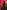 Malachi Kirby-headshot-427x583 Malachi Kirby photo portrait