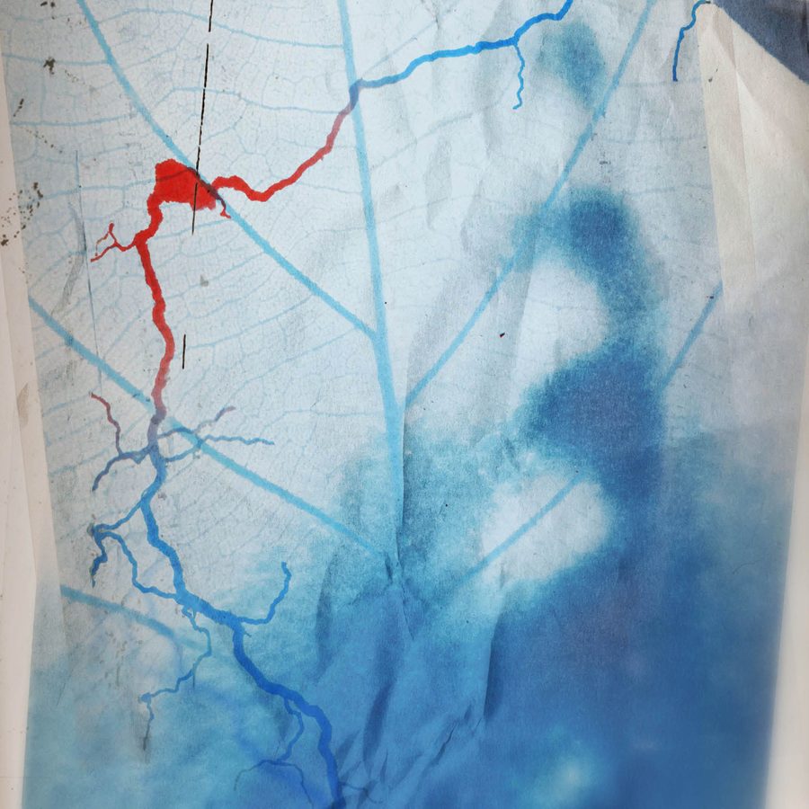 Mnemonic-2024-National-Theatre-2000x1000 Artwork with two superimposed images, one of a very blurred human face over which is a translucent image of a leaf. On top of these is a meandering line in blue, red and blue again, that could be a river, or capilliaries.