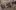 Ocean-at-the-End-of-the-Lane-puppetry-New-Work