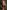 Shobna Gulati photo portrait