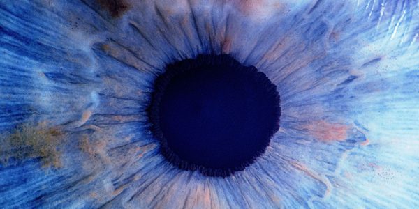 The-Effect-Lucy-Prebble-National-Theatre-2000x1000-1 An Eye close up -