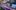 venue-test